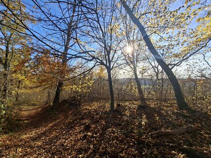 Fotografia z Franziska Mosebach na trase
