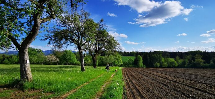 Fotografija s spletne strani Klaus Lehner na poti