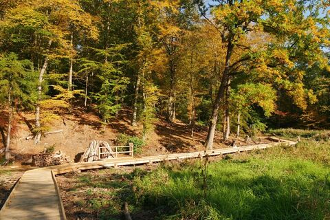 Holzweg an der Abtei Marienmünster