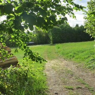 Durch die Hecken von Bieselsberg