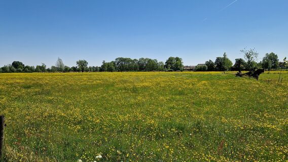 Fotografija s spletne strani Gerrit van der Linde na poti
