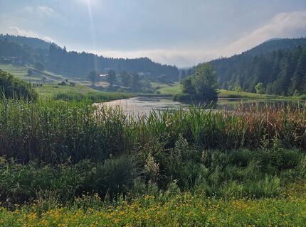 Foto von Mario Augustini entlang der Tour