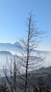 Foto von Ziegler Em1304 entlang der Tour