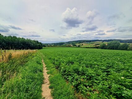 Foto de Bellou a lo largo del recorrido
