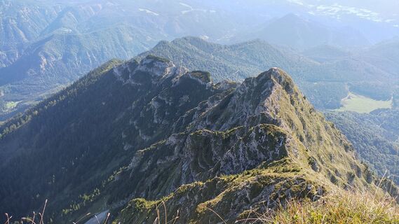 Foto från WilliSt under resans gång