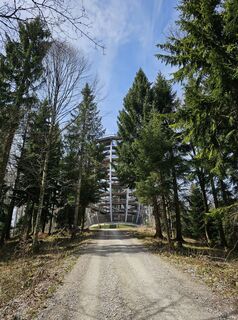 Foto von Pauline Lissek entlang der Tour