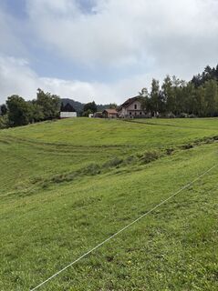 Foto fra Reinhard Frewein undervejs på turen