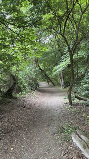 Foto von Wolfgang Ebenhofer entlang der Tour