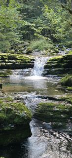 Fotografija s spletne strani Johann Weichselbaum na poti