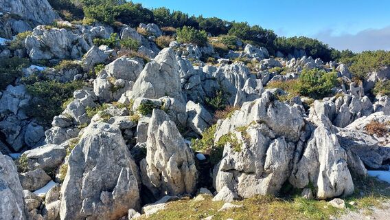Photo de Thomas Berensmann le long du parcours