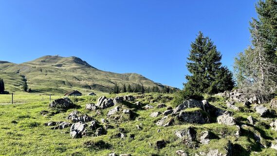 Foto von Patrick Diezi entlang der Tour