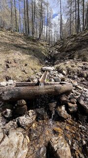 Fotografia z Thomas Preuschl na trase