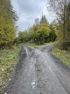 Foto de Sanca a lo largo del recorrido