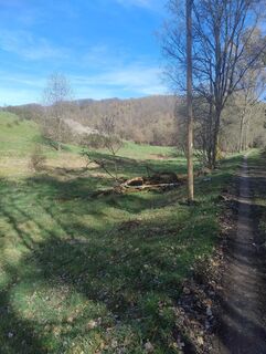 Photo de Koenigs Wolfgang le long du parcours