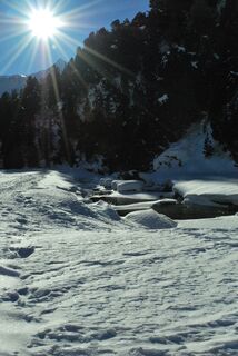 Alpe Pertusio