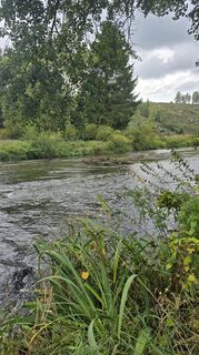 Fotografija s spletne strani Jens na poti