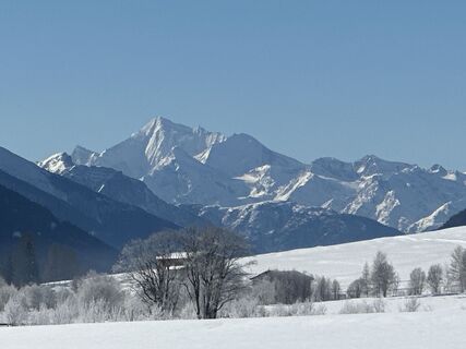 Foto von Zengaffinen Erwin entlang der Tour