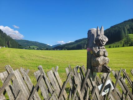 Foto von mmecki entlang der Tour