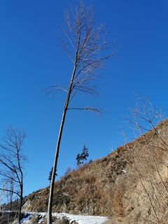 Photo de Anita Rittberger le long du parcours