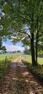 Foto von Schwendenerjeanette entlang der Tour
