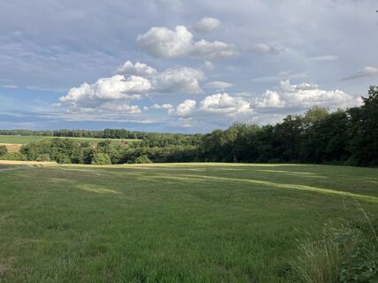 Fotografija s spletne strani Steffen Weibrecht na poti