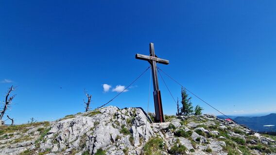 Fotografija s spletne strani EP87 na poti