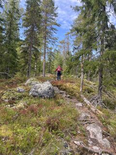 Foto von Nikolaus Ludwig 1 entlang der Tour