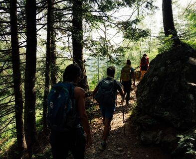 Der schöne Abschnitt des Wanderwegs durch den Wald