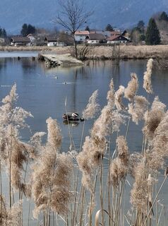 Fotografie z Jacky Blues 1 na trase