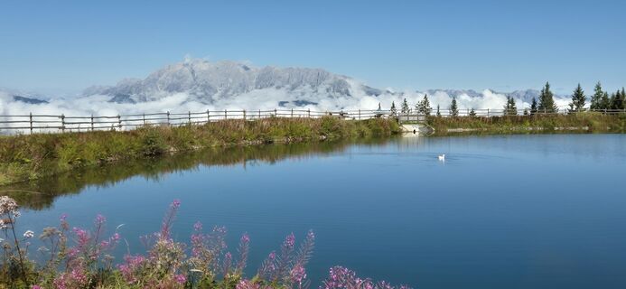 Fotografija s spletne strani Bruunoo na poti