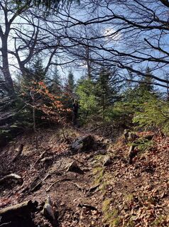 Foto von RobuC entlang der Tour