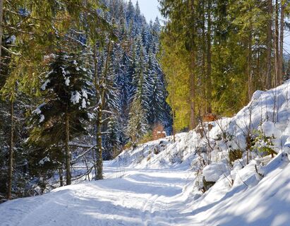Winterweg im Holzschlagbachtal