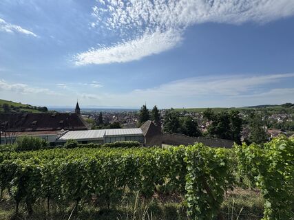 Photo de Adnan Cemal le long du parcours