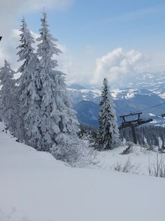 Foto von Maier Robert entlang der Tour