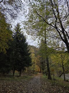 Photo de Viktoria Feigl le long du parcours