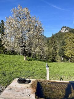 Foto von Aurelian Böhler entlang der Tour