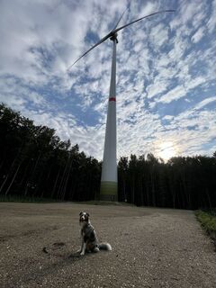 Windrad 2