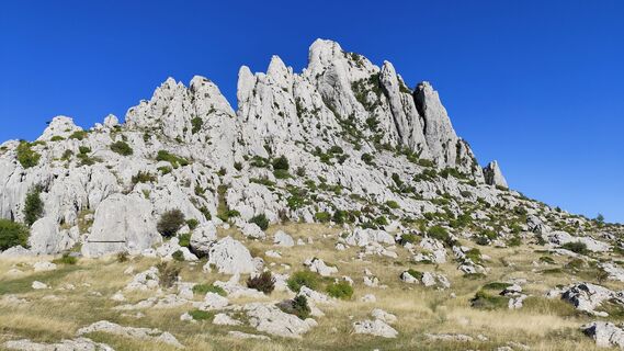 Foto de Günter Glaser a lo largo del recorrido