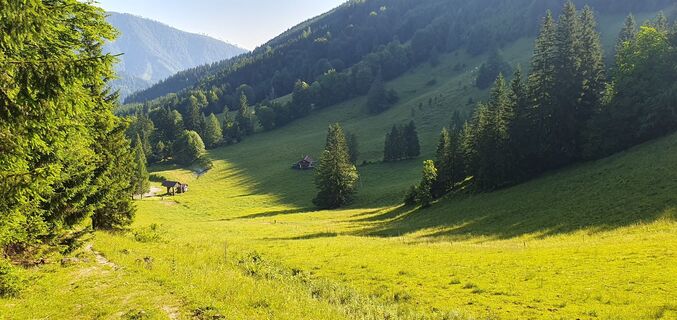 Fotografija s spletne strani mike wm na poti