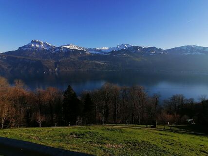Fotografija s spletne strani luyyy na poti