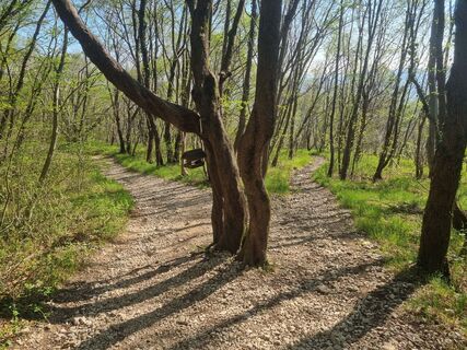 Fotografie z Grizli na trase