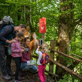 Tierstation mit Stempel