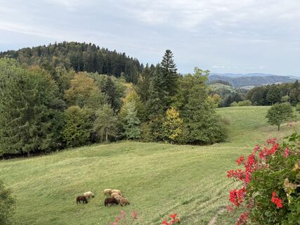 Foto von PETER Döbeli entlang der Tour
