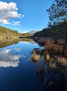 Fotografia z Dagmar Hofer na trase