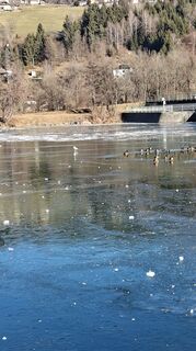 Fotografie z Mangolein na trase
