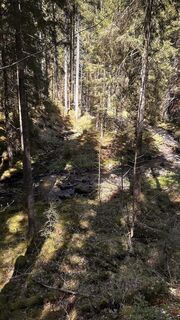 Foto von Steven Kool entlang der Tour