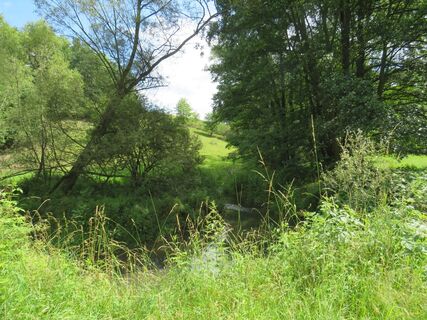 Klosterwasser