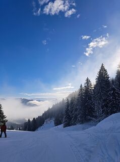 Foto da Michael Rohrmoser lungo il tour