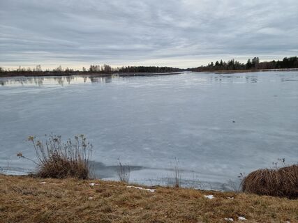 Foto de Felix a lo largo del recorrido