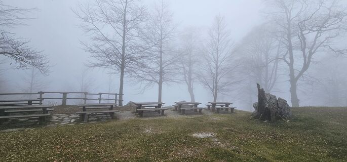 Fotografija s spletne strani Nico na poti